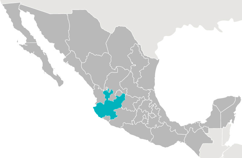 guadalajara